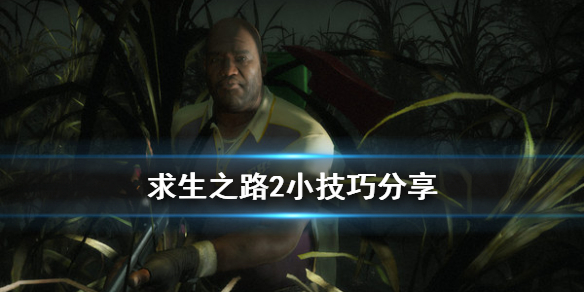 584_afaac0a6-5812-5563-a5b1-e4510c4809ef